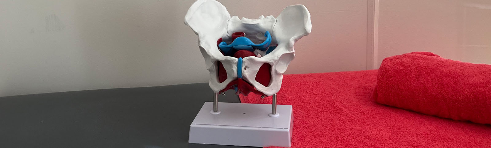 Pelvic Health Physiotherapy